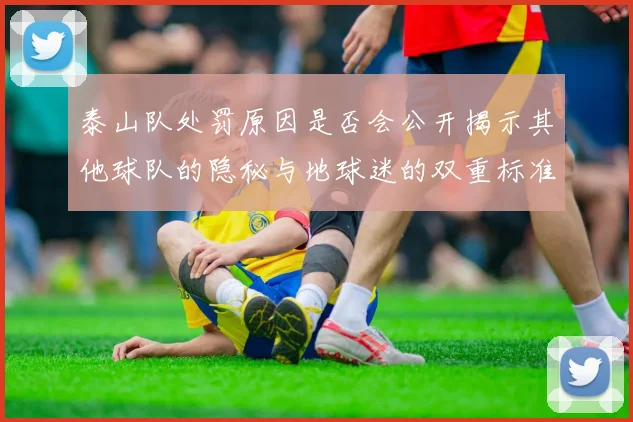 泰山队处罚原因是否会公开揭示其他球队的隐秘与地球迷的双重标准