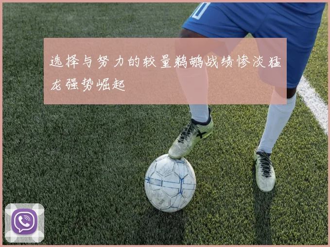 选择与努力的较量鹈鹕战绩惨淡猛龙强势崛起